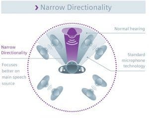 Hearing Aid Directional Microphones