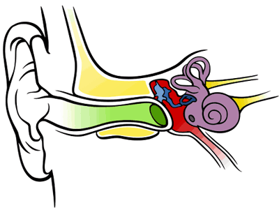 Blank-Ear-Diagram